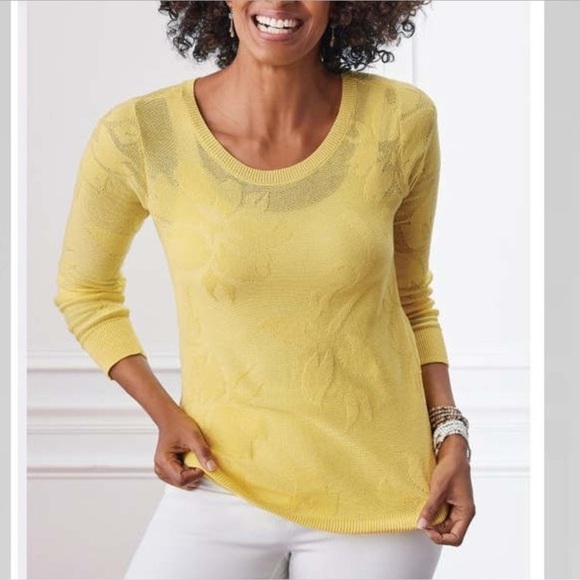 NWT Soft Surroundings 2X Thin Knit Sweater Garden Wall Pointelle - Picture 1 of 12